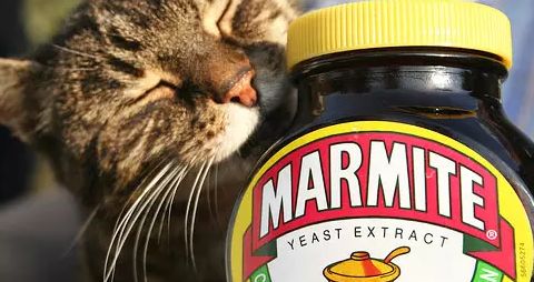 餐飲業(yè)戰(zhàn)“疫”新動(dòng)向 海底撈精釀線下擴(kuò)張，BrewDog跨界酵母醬，行業(yè)自救各顯神通