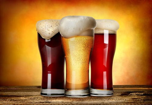 精釀啤酒與健康 探尋酵母之魅，理性看待杯中物