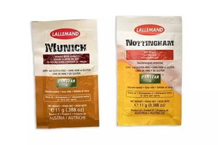 夏日必備的微醺藝術(shù) 走進(jìn)精釀吧，探索啤酒酵母的奇妙世界